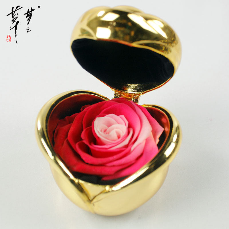 Preserved Rose Flowers for Valentine's Gifts