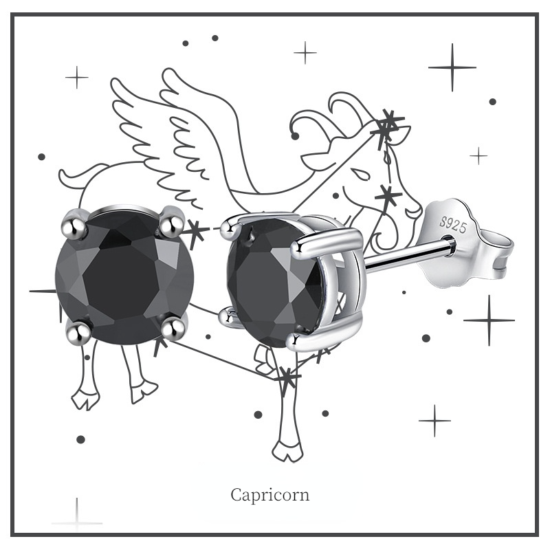 Fashion Sterling Silver Twelve Constellation Earring Studs
