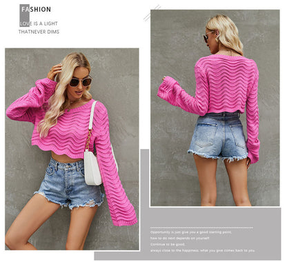Fashion Hallow Out Short Knitted Pullover Sweaters