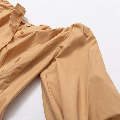 Designed Cotton Lantern Sleeves Women Shirts