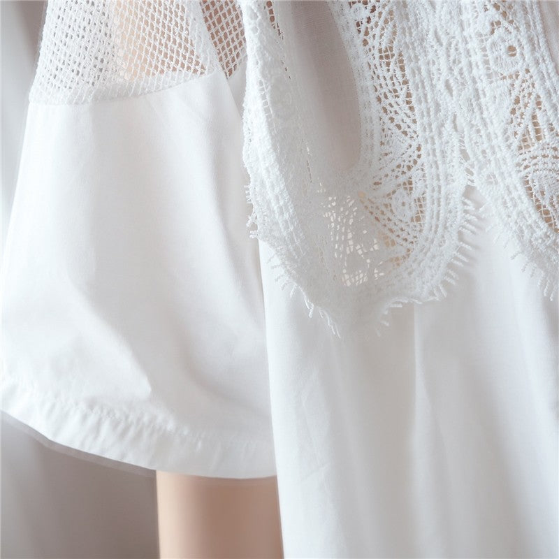 A-Line Mini Dress With Lace Mesh Panel