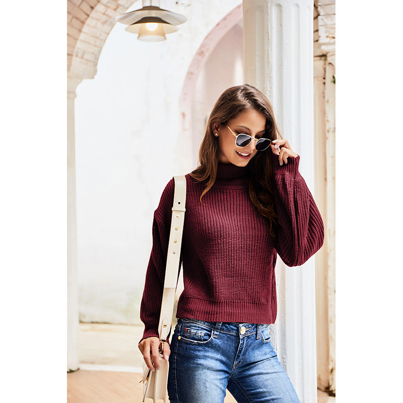 Casual High Neck Knitted Long Sleeves Sweaters