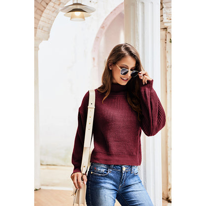 Casual High Neck Knitted Long Sleeves Sweaters