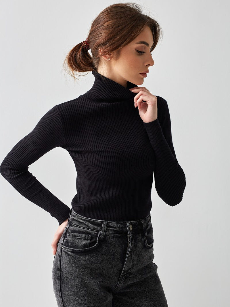 Sexy High Neck Knitted Sheath Sweaters
