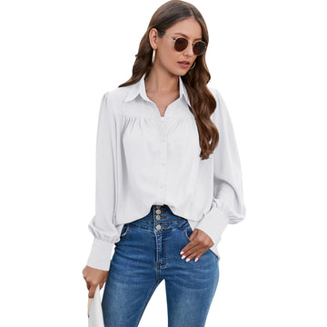 Casual Chiffon Long Sleeves Blouses for Women
