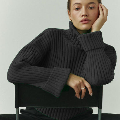 Casual High Neck Trumpet Sleeves Pullover Sweaters