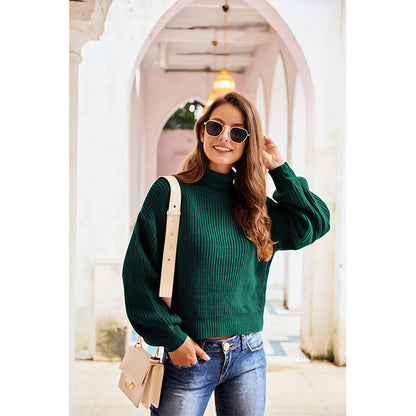 Casual High Neck Knitted Long Sleeves Sweaters
