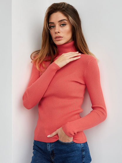 Sexy High Neck Knitted Sheath Sweaters