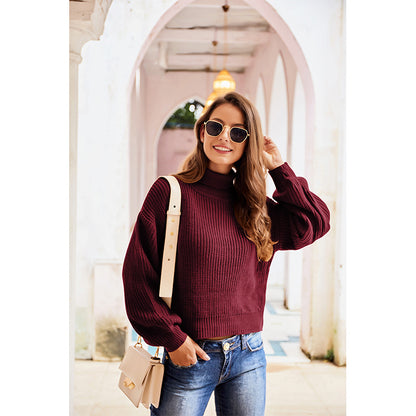 Casual High Neck Knitted Long Sleeves Sweaters