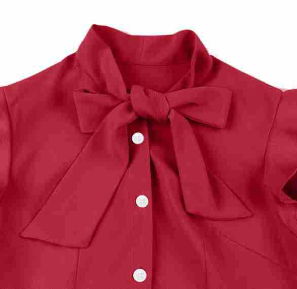Vintage Ruffled Turnover Collar Dresses