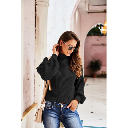 Casual High Neck Knitted Long Sleeves Sweaters