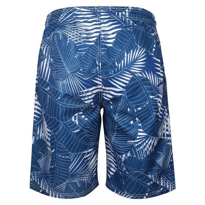 Men's Summer Beach 3D Pint Quick Dry Shorts-STYLEGOING