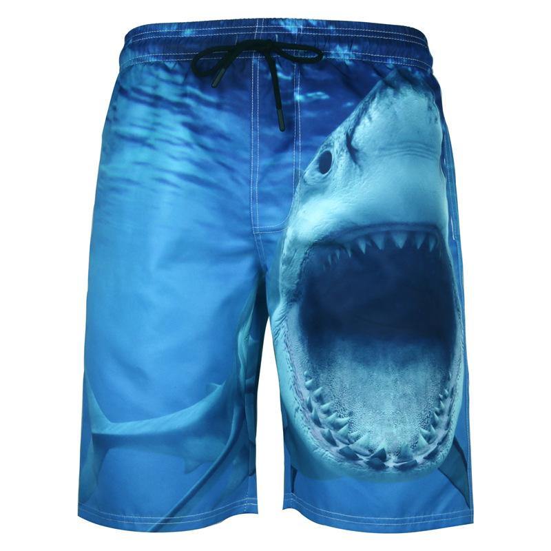 Summer Plus Size Quick Dry Beach Pants-STYLEGOING