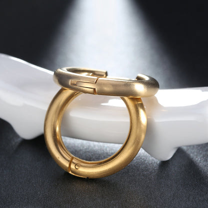 Stainless Steel Round Hook Earrings for Women
