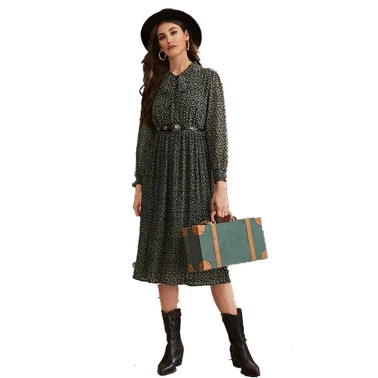 Women Chiffon Elegant Long Sleeves Fall Dresses