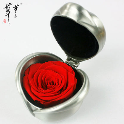 Preserved Rose Flowers for Valentine's Gifts