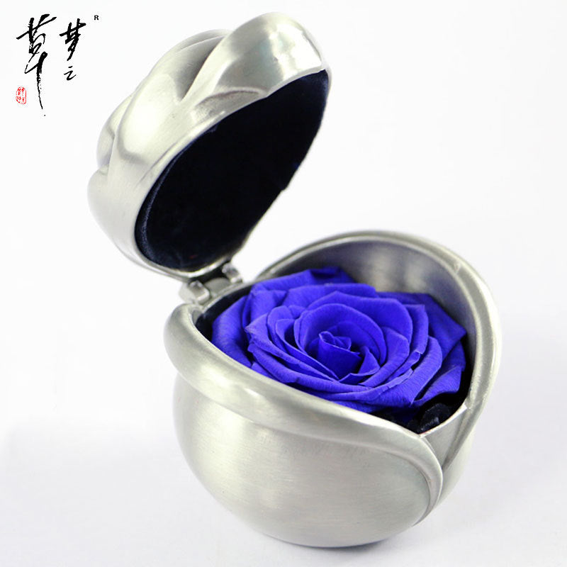 Preserved Rose Flowers for Valentine's Gifts