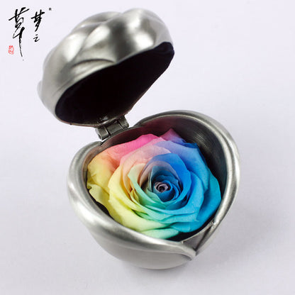 Preserved Rose Flowers for Valentine's Gifts