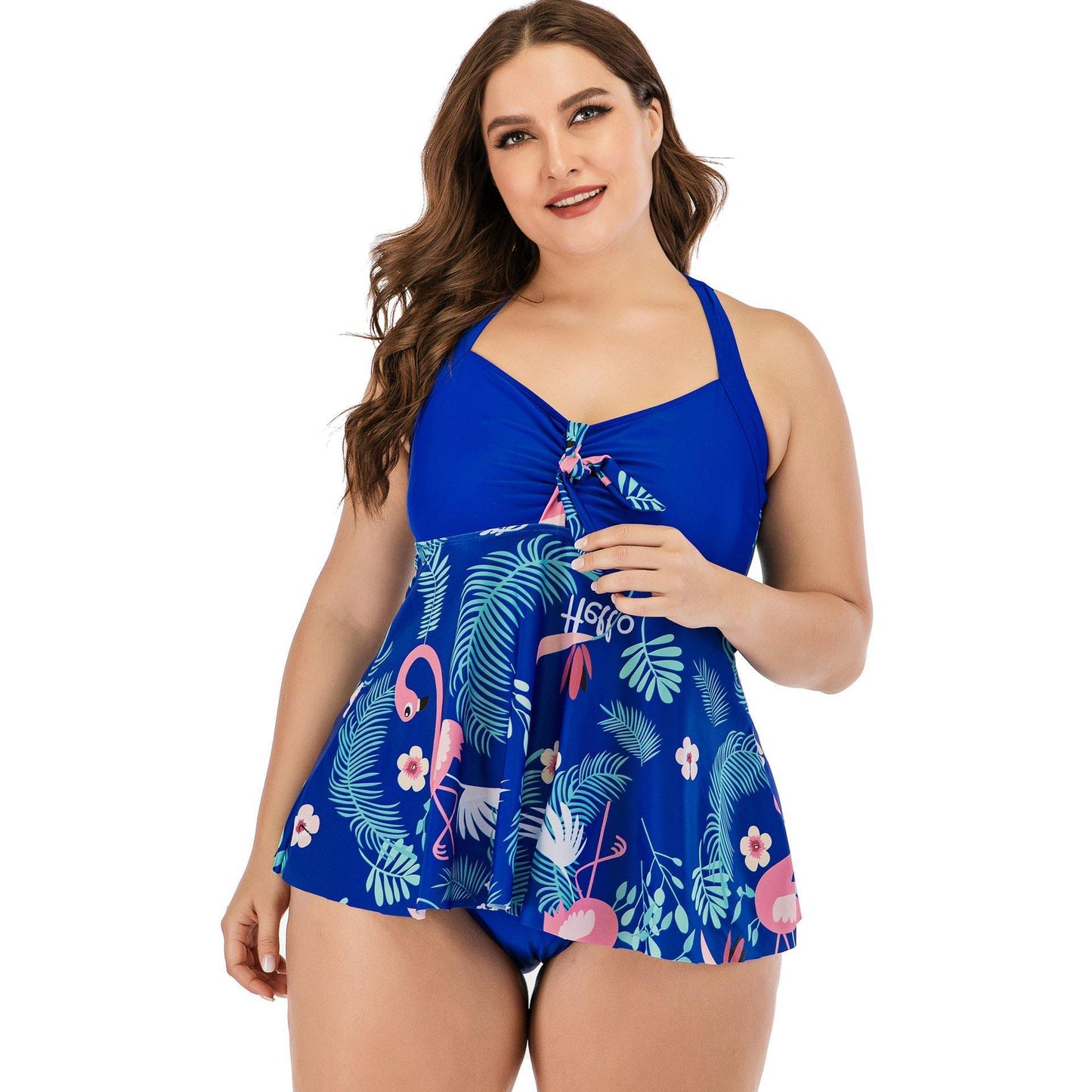 Plus Size Women Flamingo Print Tankini-STYLEGOING