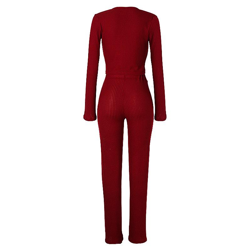 Leisure Long Sleeves Sexy Knitting Outfits-STYLEGOING