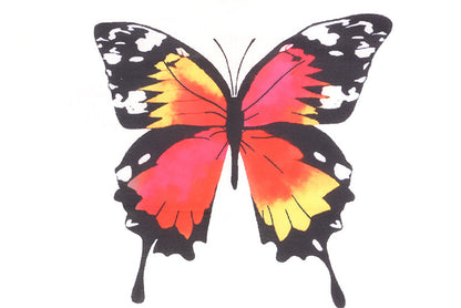 Butterfly Design Zipper Hoodies Women Suits