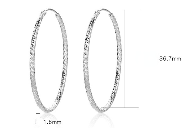 Fashion Sterling Silver Hoop Earrings for Women