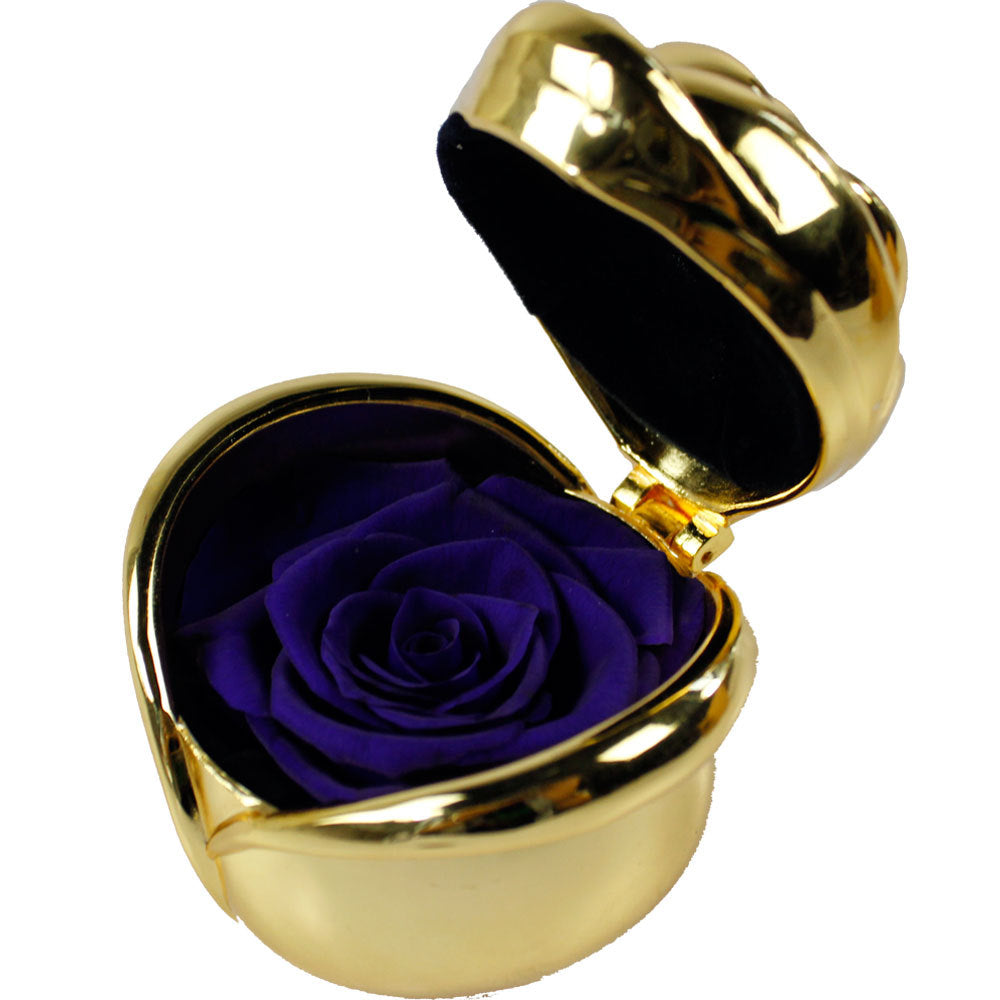 Preserved Rose Flowers for Valentine's Gifts