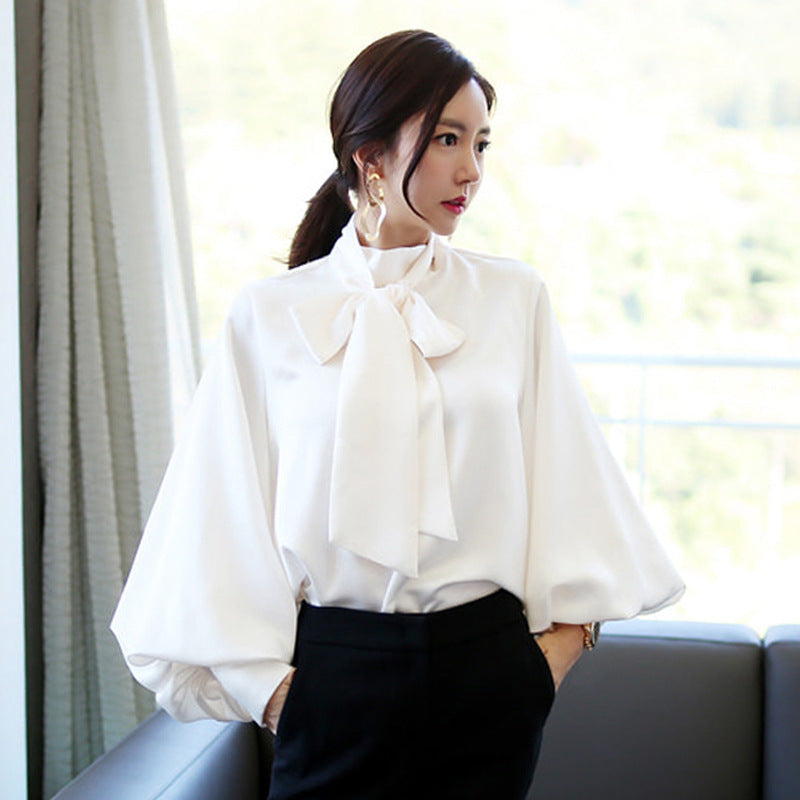 Designed Chiffon Elegant Pullover Women Blouses