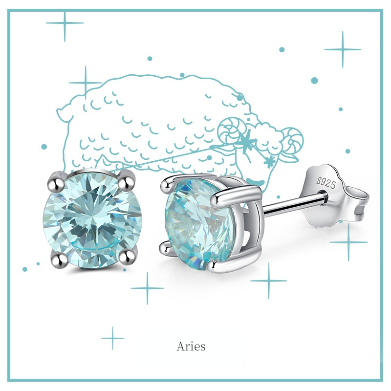Fashion Sterling Silver Twelve Constellation Earring Studs