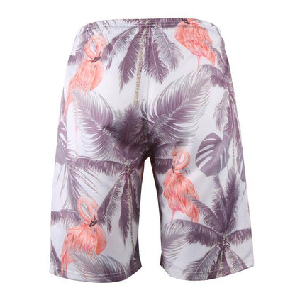 Men's Sumer Beach Quick Dry Clorful Shorts-STYLEGOING