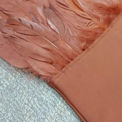 Sexy Designed Feather Sheath Evening Party Dresses