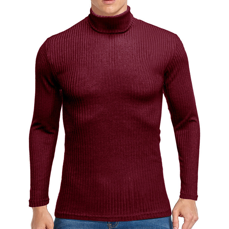 Fall Turtleneck Long Sleeves Knitted Sweaters