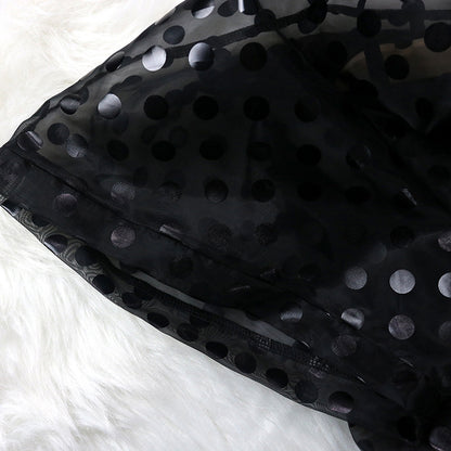 See Through Organza Casual Two Pieces Black Mini Dresses