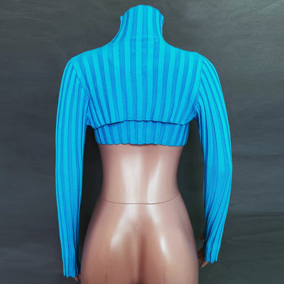 Sexy High Neck Knitting Women Short Tops Suits