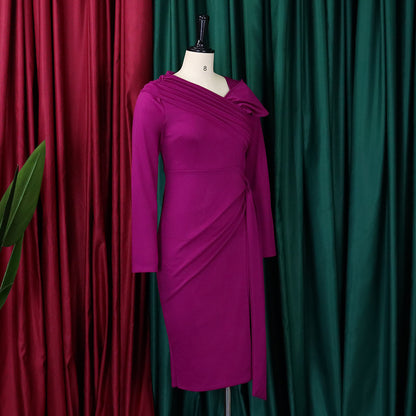 Elegant Long Sleeves Sheath Dresses