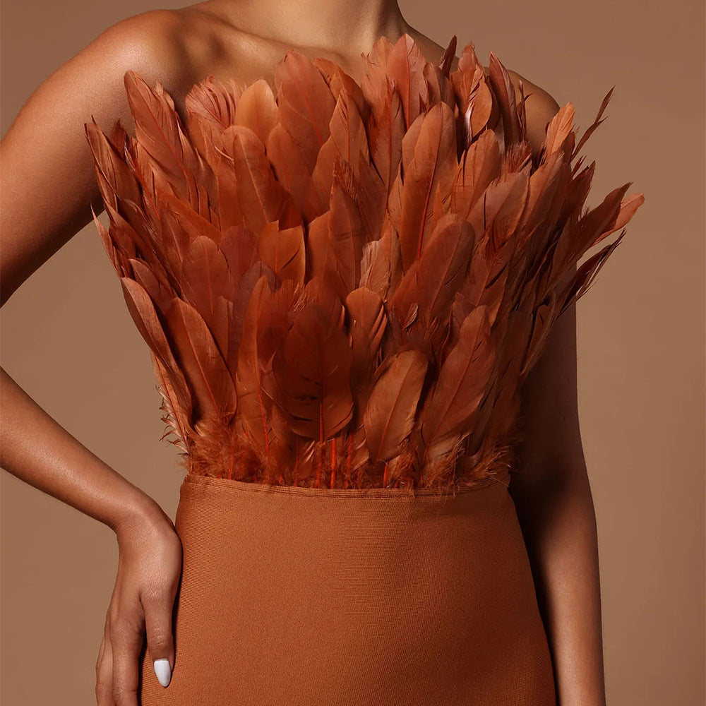 Sexy Designed Feather Sheath Evening Party Dresses