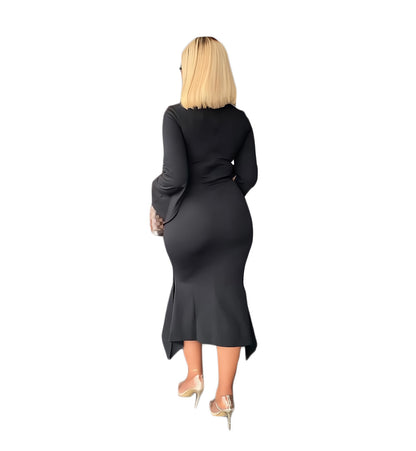 Sexy Long Sleeves Sheath Dresses