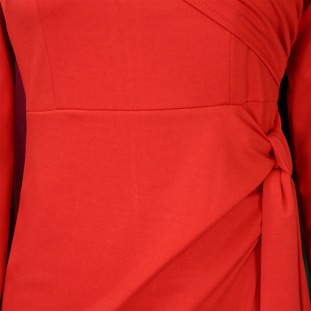 Elegant Long Sleeves Sheath Dresses