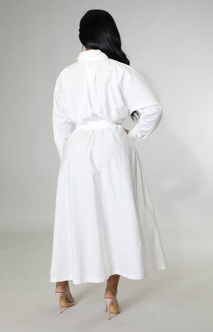Casual Plus Sizes Shirts Dresses