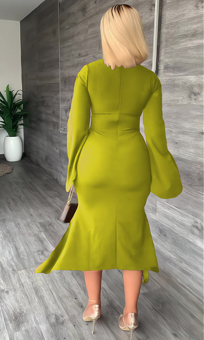 Sexy Long Sleeves Sheath Dresses