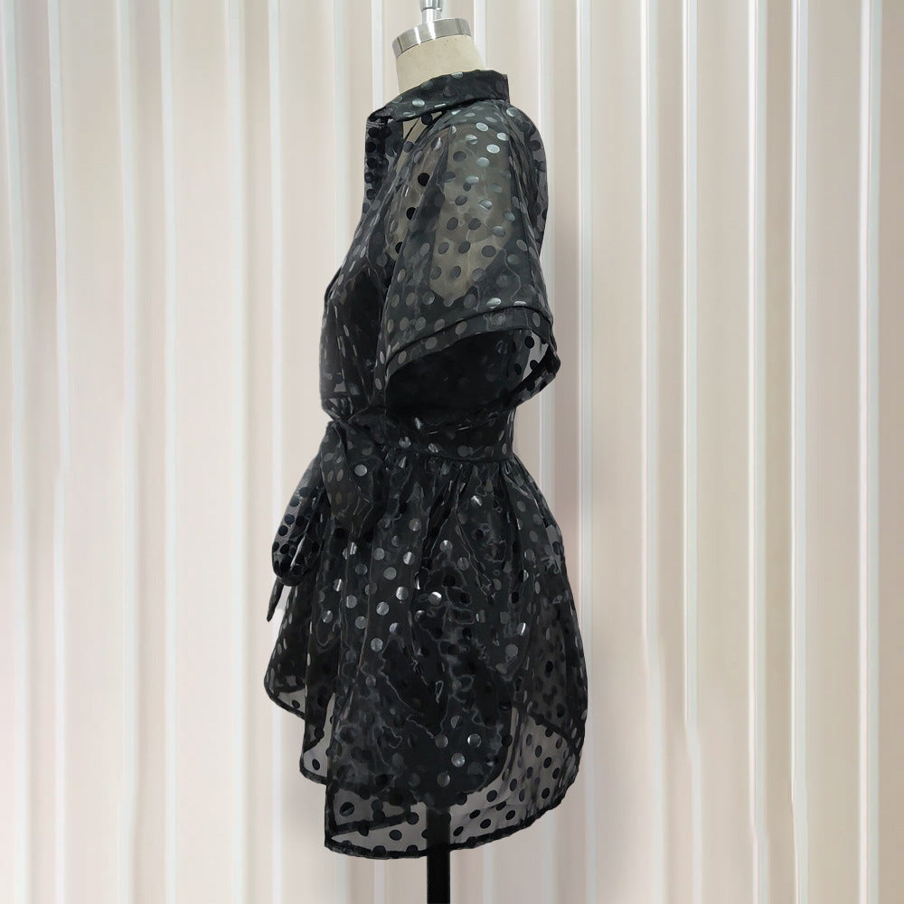 See Through Organza Casual Two Pieces Black Mini Dresses