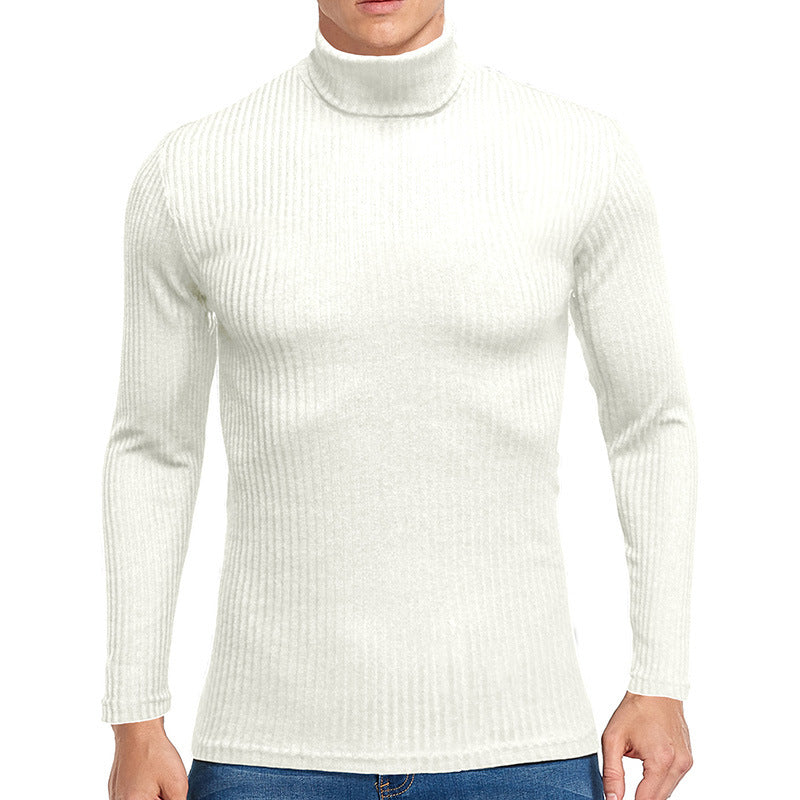 Fall Turtleneck Long Sleeves Knitted Sweaters