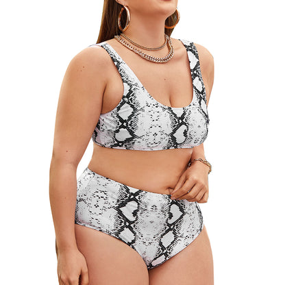 Women Snake Print Plus Sizes Bikinis Swimsuits