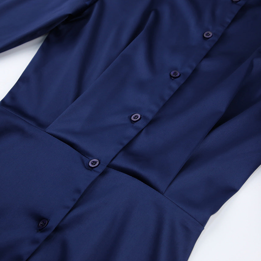 Sexy Classy Long Sleeves Sheath Shirts Dresses