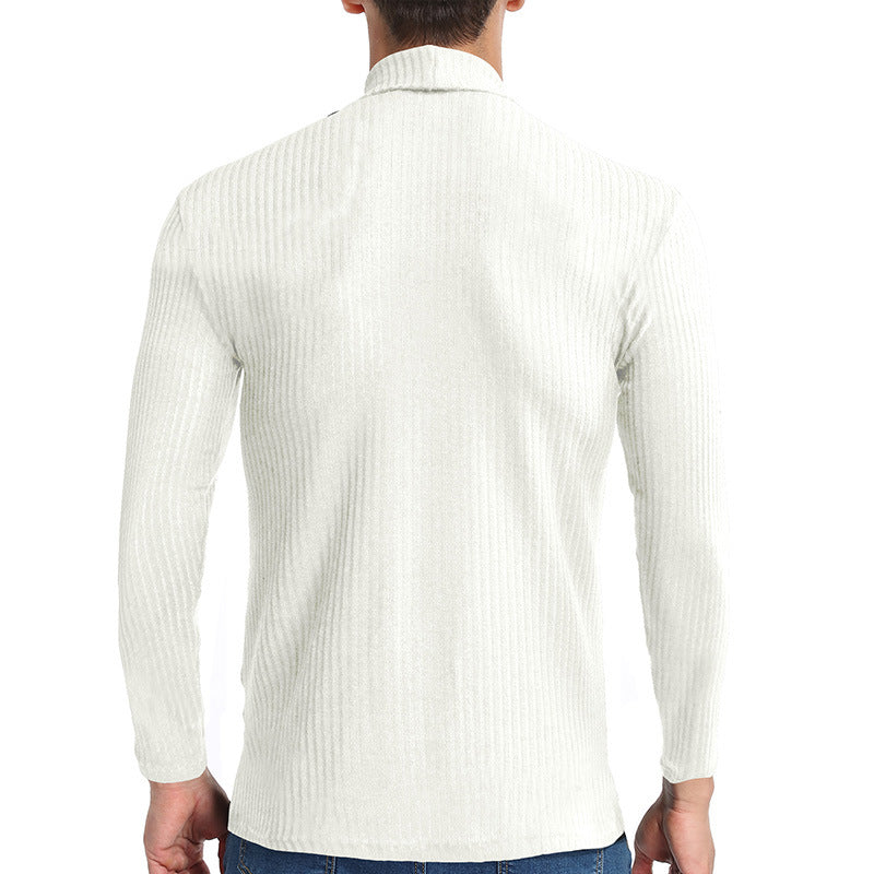 Fall Turtleneck Long Sleeves Knitted Sweaters