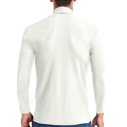 Fall Turtleneck Long Sleeves Knitted Sweaters
