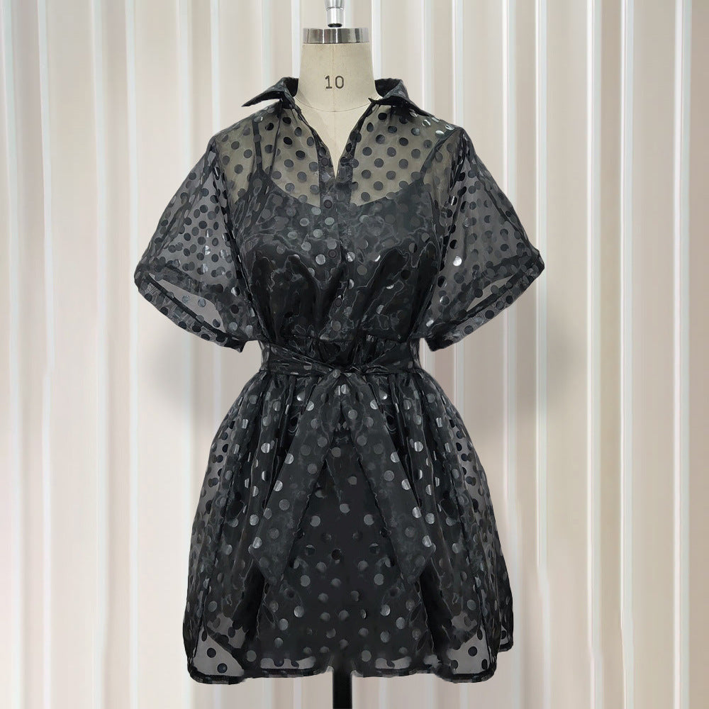 See Through Organza Casual Two Pieces Black Mini Dresses