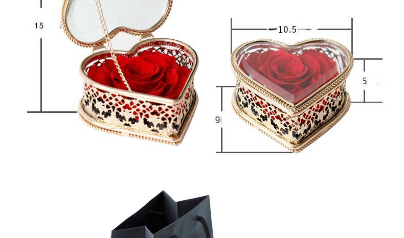 Preserved Forever Flowers Red Rose for Valentine's Day Gifts