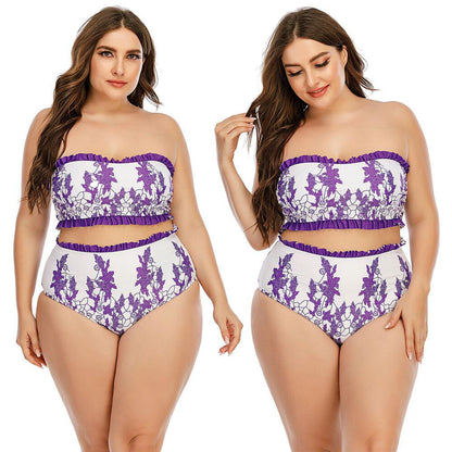 Plus Size Bandeau Bra Bikini Set-STYLEGOING